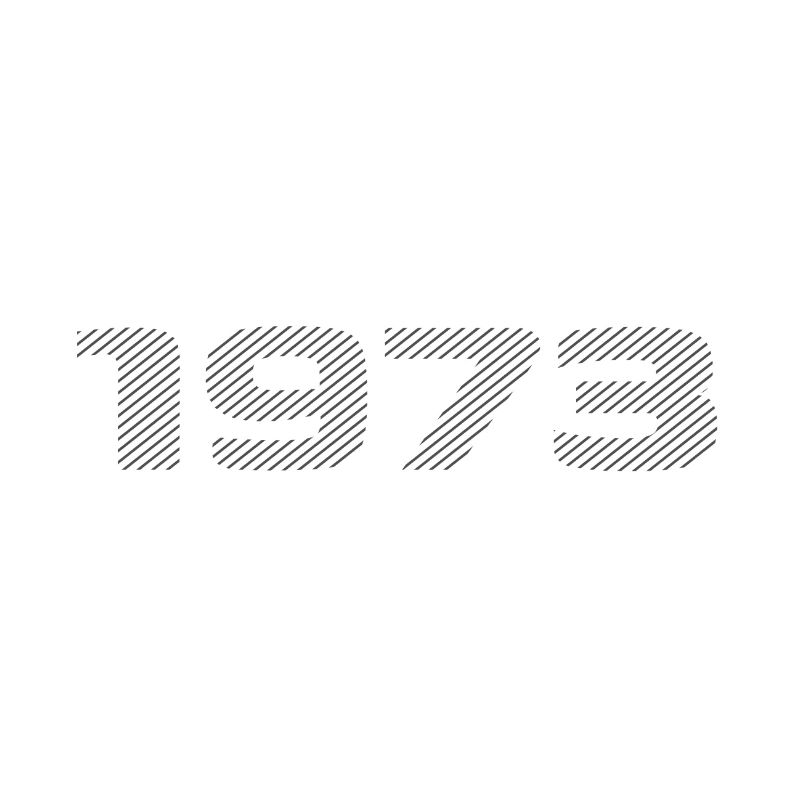 Né en 1973 Retro Stripe Design d’anniversaire moderne