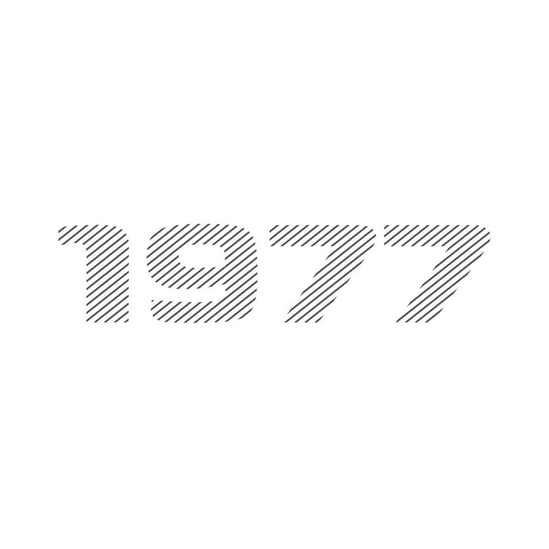 Born 1977 Retro Stripe Modern Birthday Design