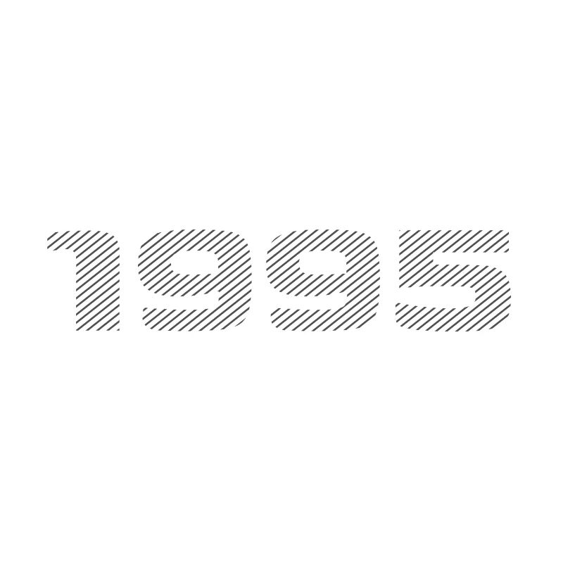 Geboren 1995 Retro Stripe Modernes Geburtstagsdesign