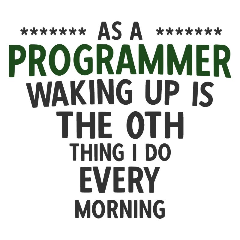 Software Ingenieur Informatiker Programmierer