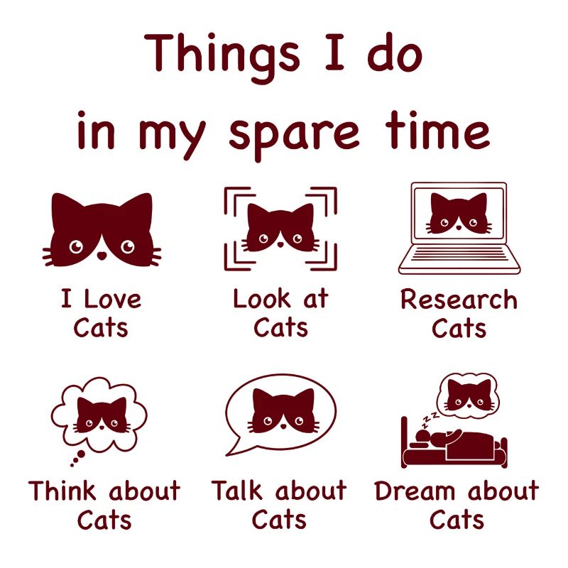 Chats, chats, chats (bruns)