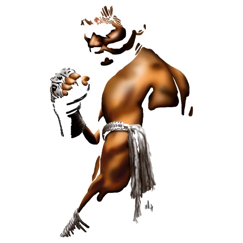 Kampfgeist Boxer Illustration
