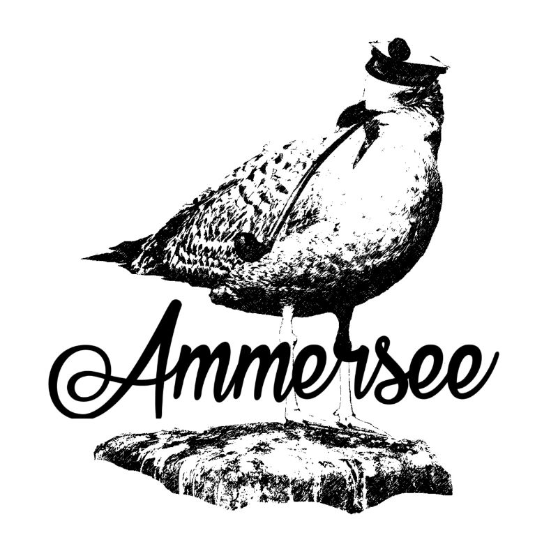 Ammersee Möwe