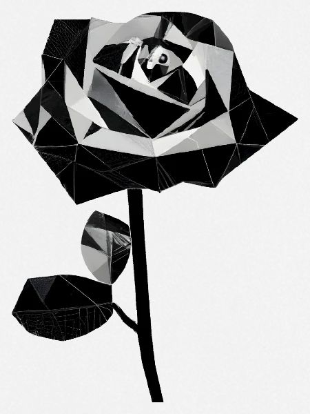 Polygone rose noire
