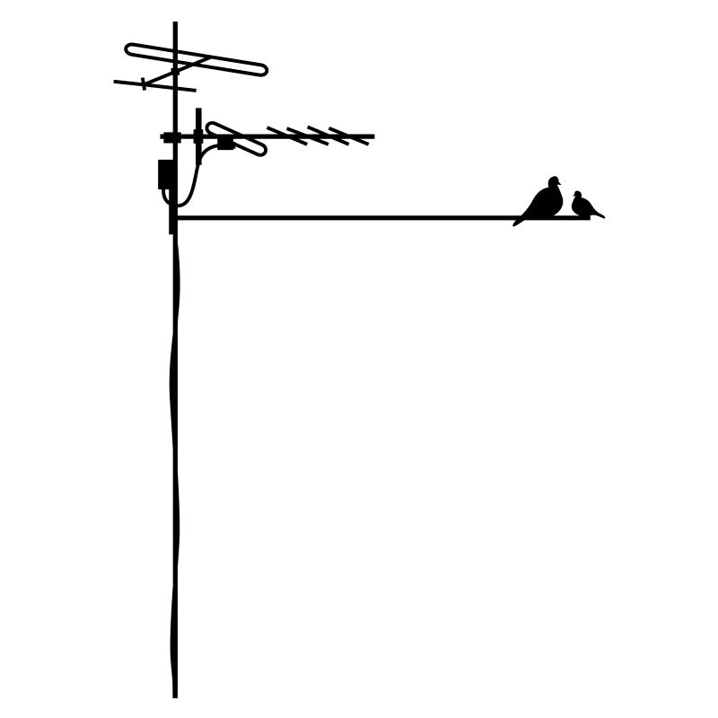 antennen Vögel Vogel Dach Sendemast Daten Stadt