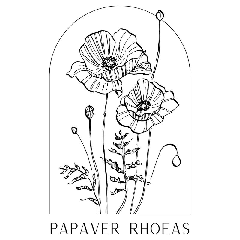 Conception de fleurs botaniques – Fleur minimaliste