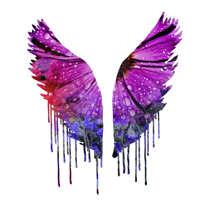 ailes d’ange, ailes, aquarelle, colorée, ailes d’ange, fleur