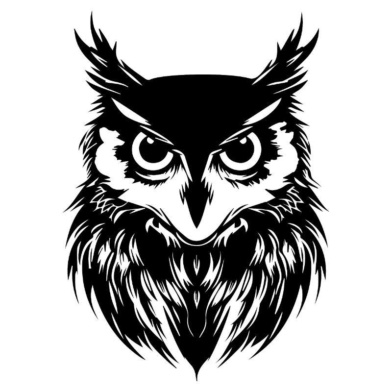 Eule Eulen Vogel Vögel