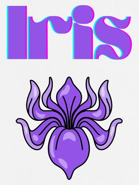 Iris
