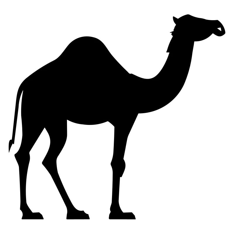 Kamel