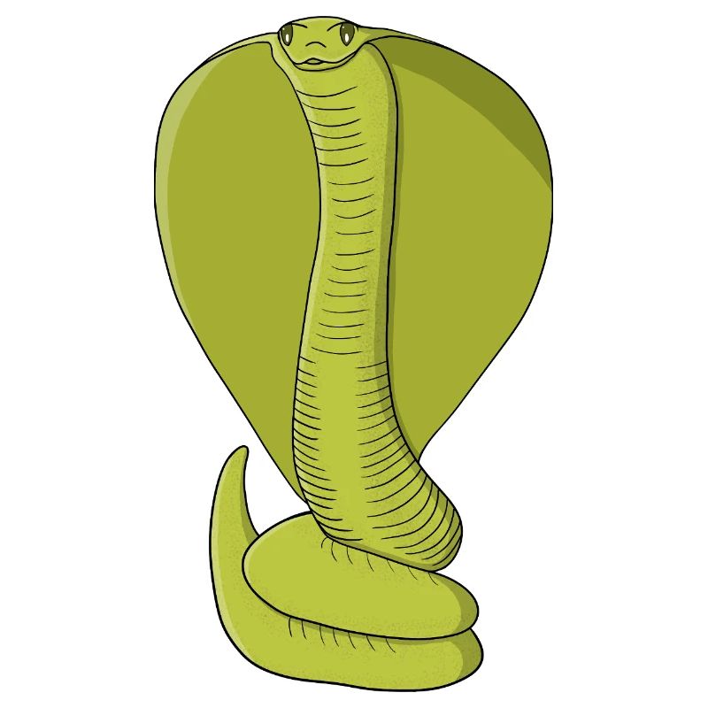 Vibrant Lime Green Cobra