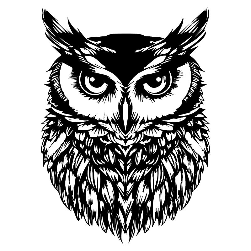 Eule Eulen Vogel Vögel