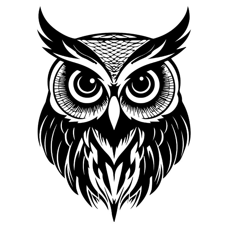 Eule Eulen Vogel Vögel