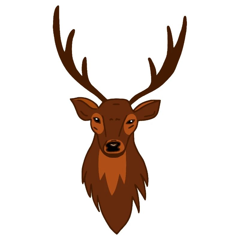 Deer Roebuck Deer Forest Hunter