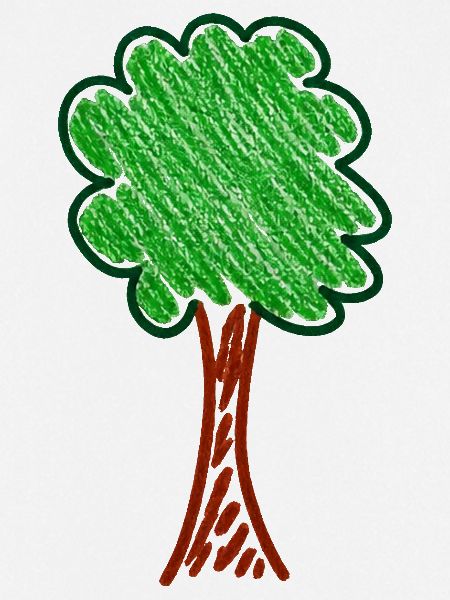 Wachsmalwaldbaum