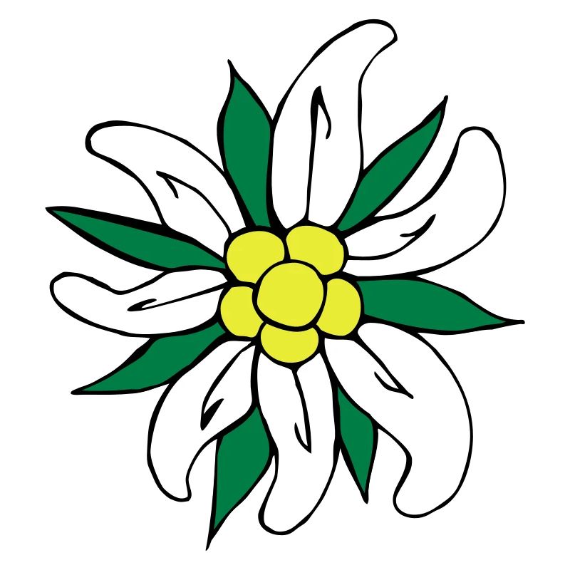 edelweiß_3