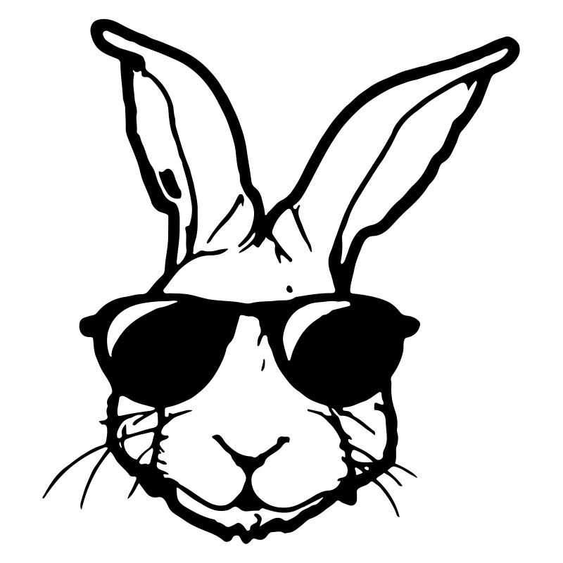 Rabbit with sunglasses Rabbit's head Gift idea