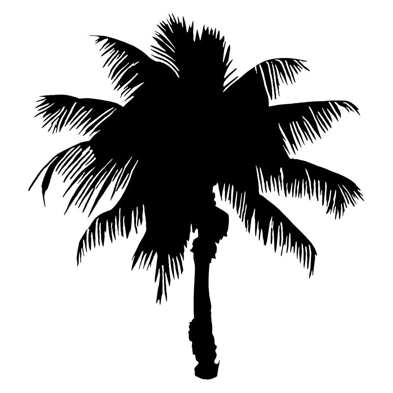 Tropical Beach Paradise Palm Sun Sun Vector 2