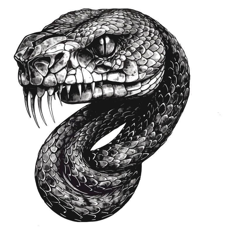 Snake