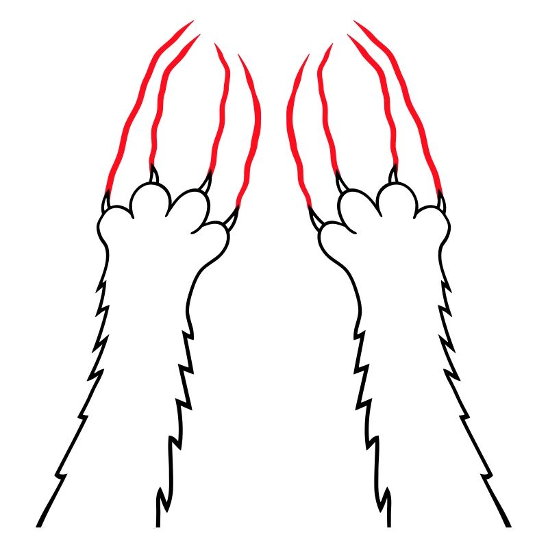 Cats, Claws, Paws, Paws, Claws, Scratches, Stripes