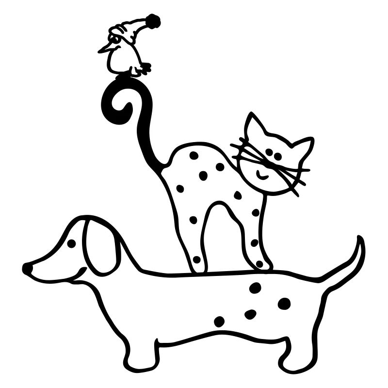 Hund Katze Vogel