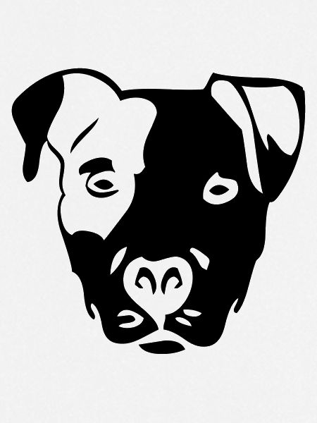 pitbull