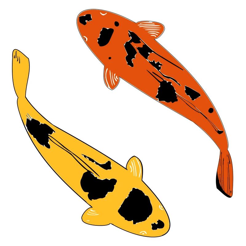carpe koi