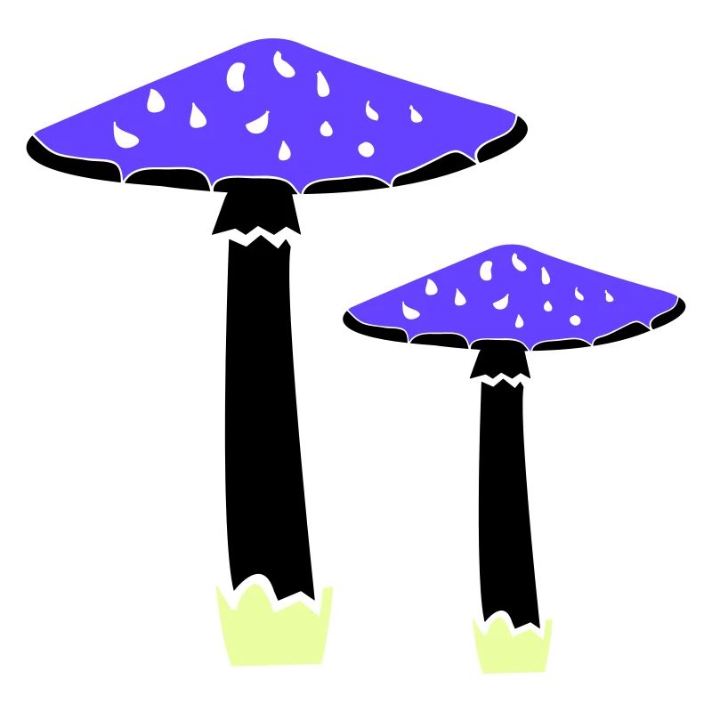 Mushrooms 2