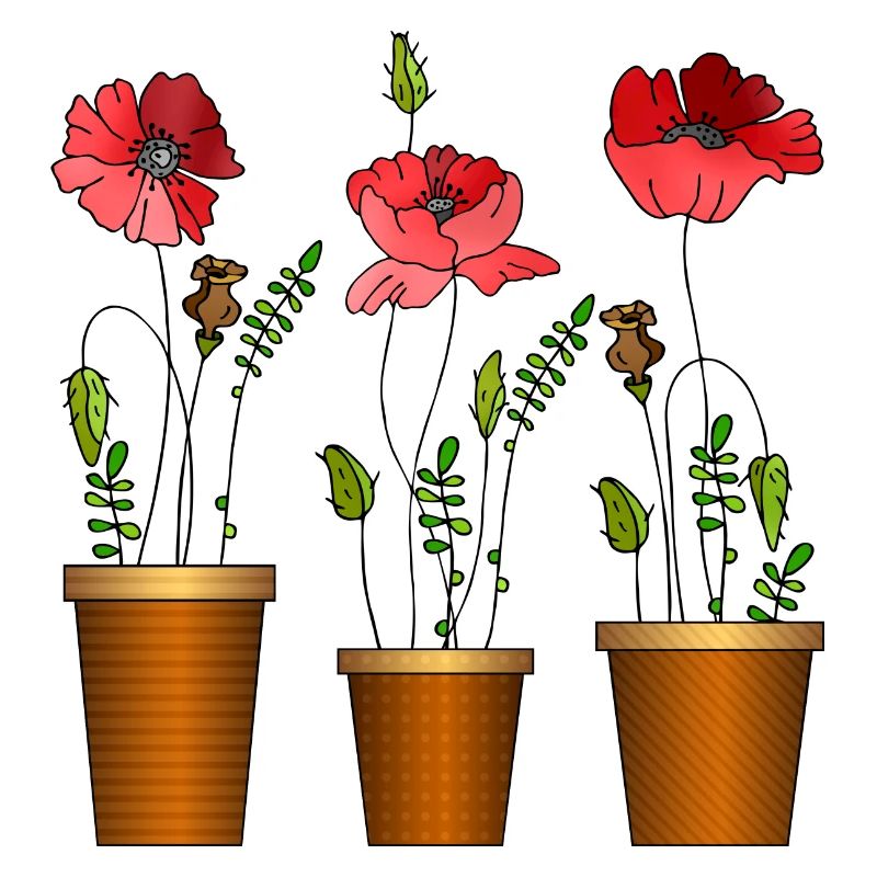 Fleur