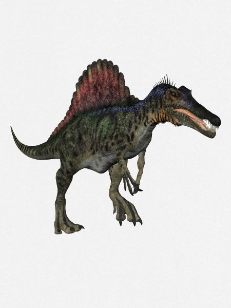 spinosaurus1