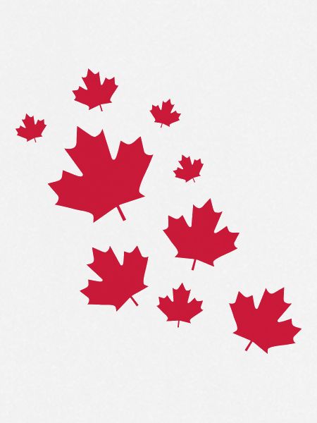 Canada Maple Leave Rain