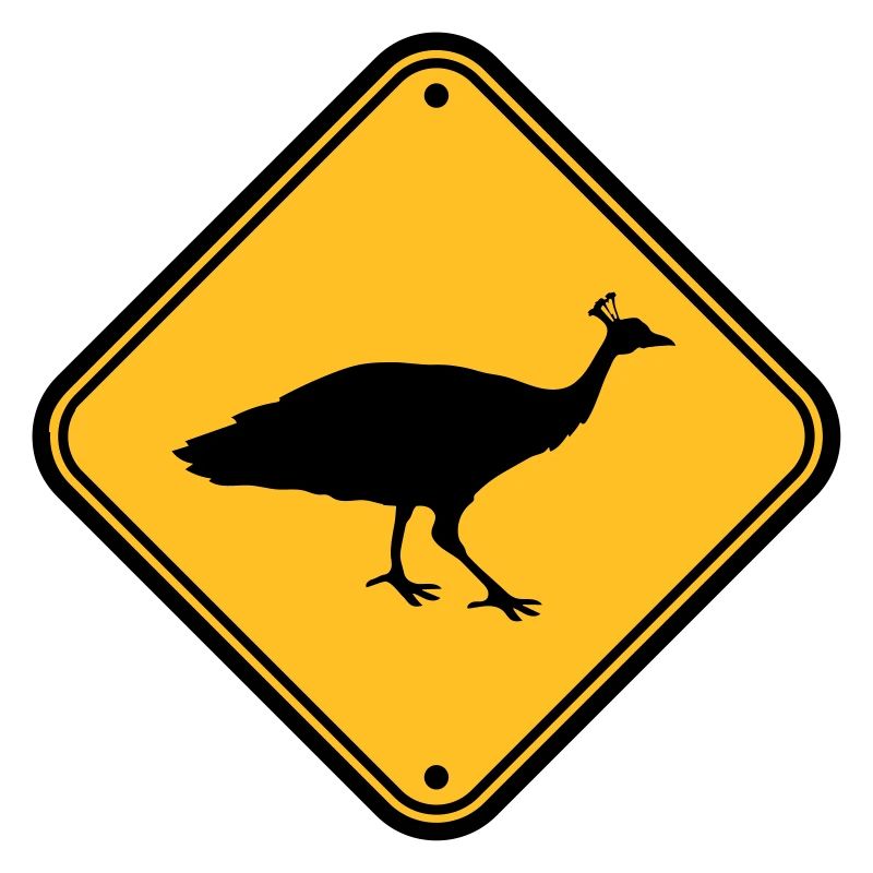 Bouclier Danger Attention Attention Remarque Zone