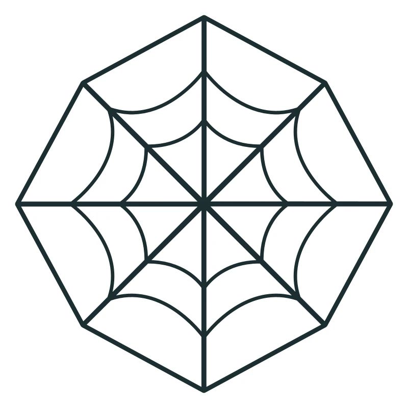 irregular spider web