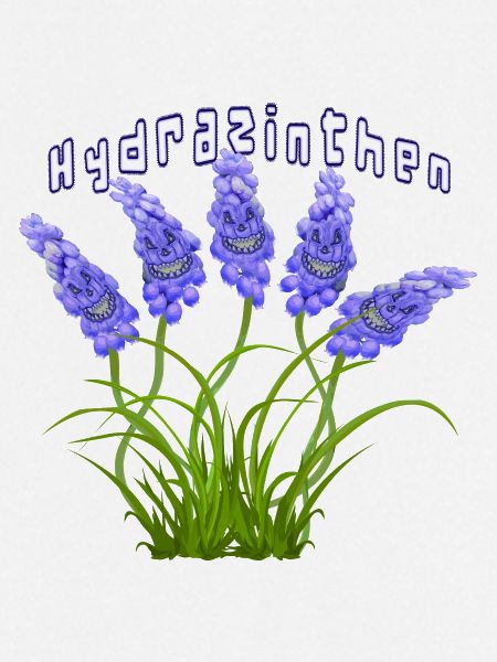 Hydrazinthen - Hydra-Hyazinthen