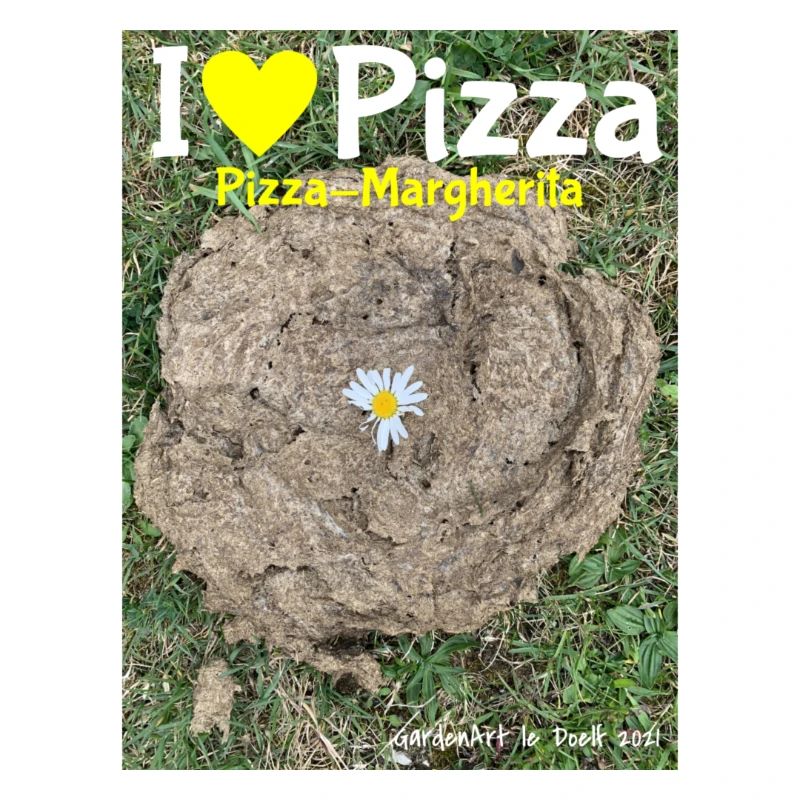 Pizza Margherita oder Alpenpizza mit Kuhscheisse