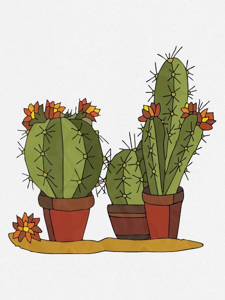 Flowers
