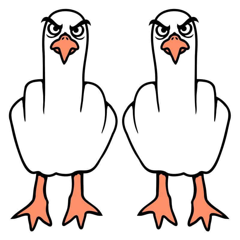 2 Möwen Mittelfinger Beleidigung Stinkefinger Team