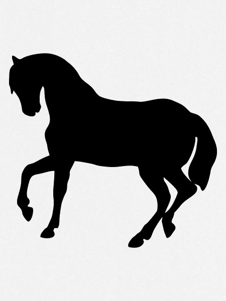 Cute Pony