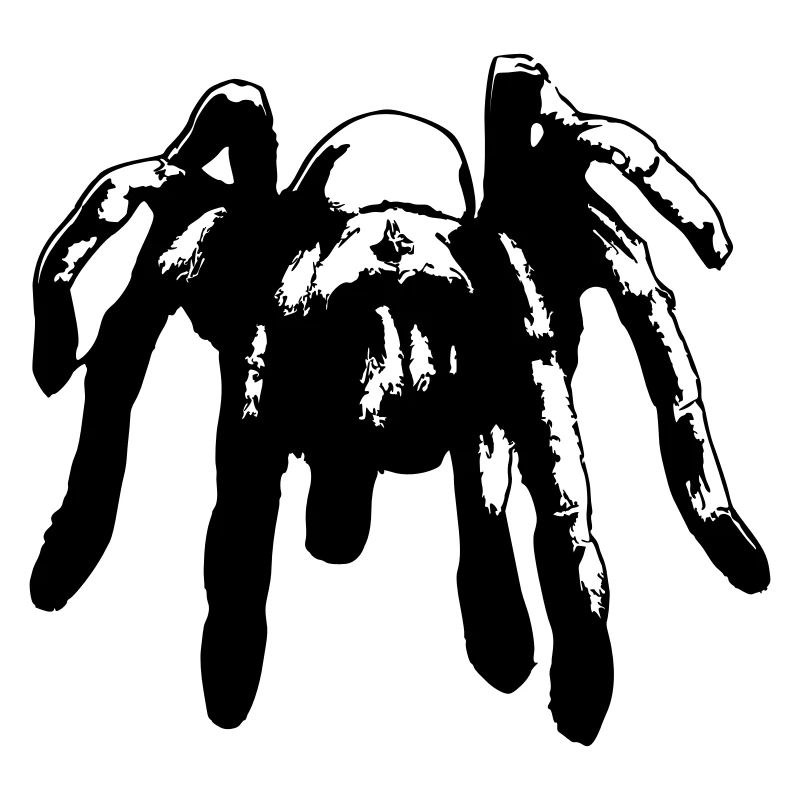 Spider Spiders Animal Tarantula Arachnid Vector