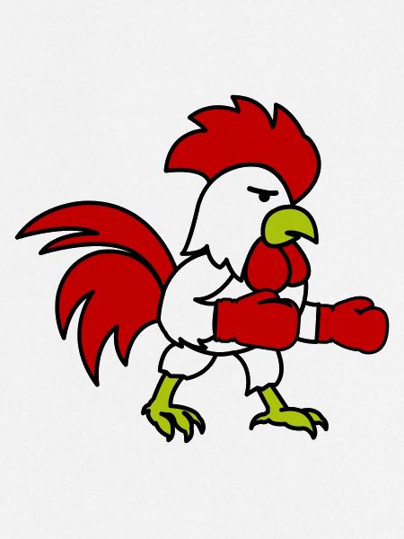 Boxer