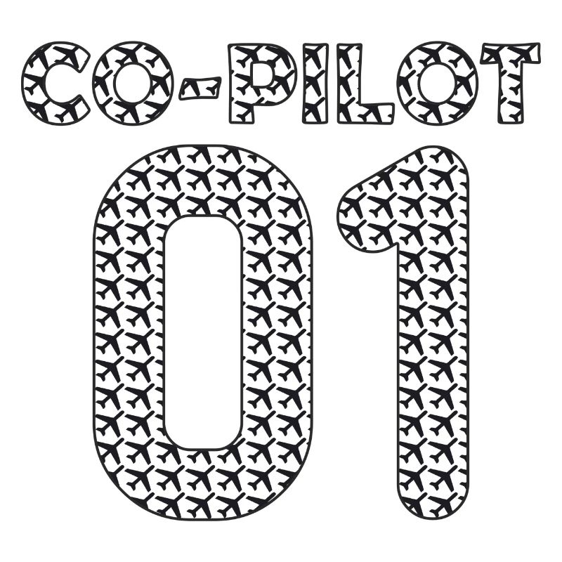 Co Pilot