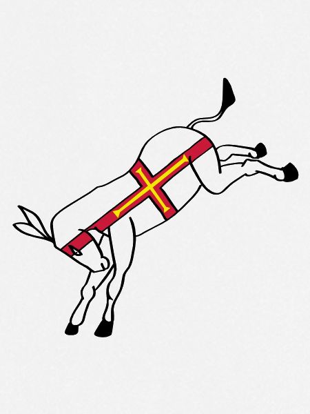 guernseydonkey