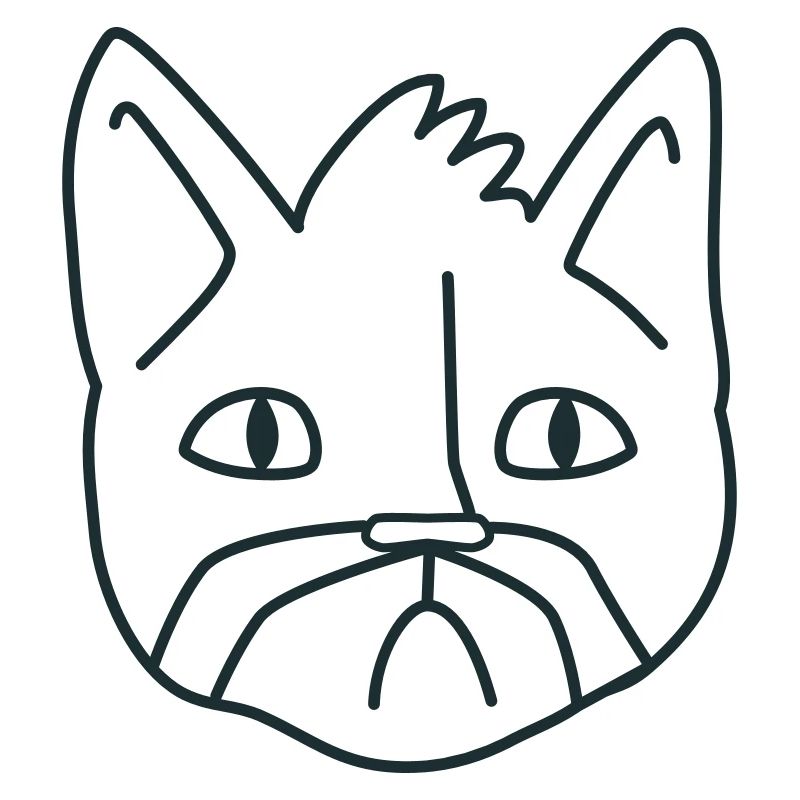 Chat Moustache malheureux chat