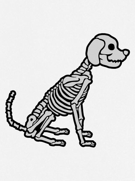 Halloween Skeleton Dog Design