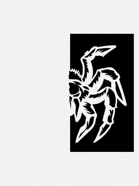 spider spider