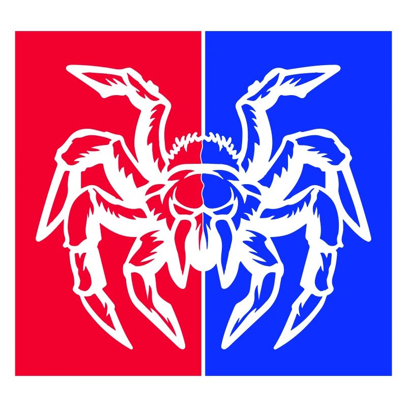 spider spider
