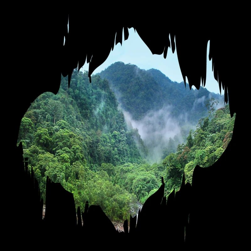 Regenwald Urwald Amazonas Farbfleck Geschenk