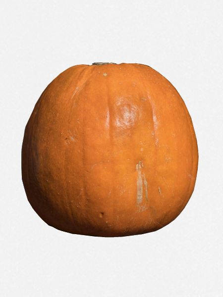 Pumpkin