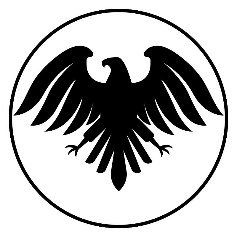 Eagle in flight