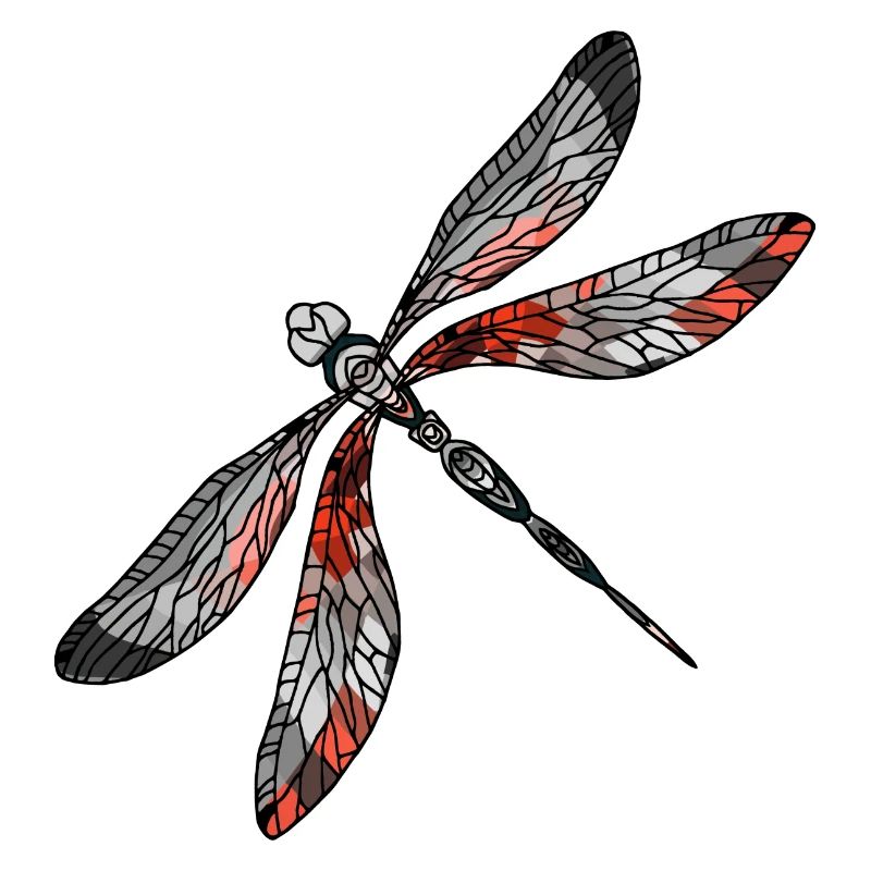 Libellule